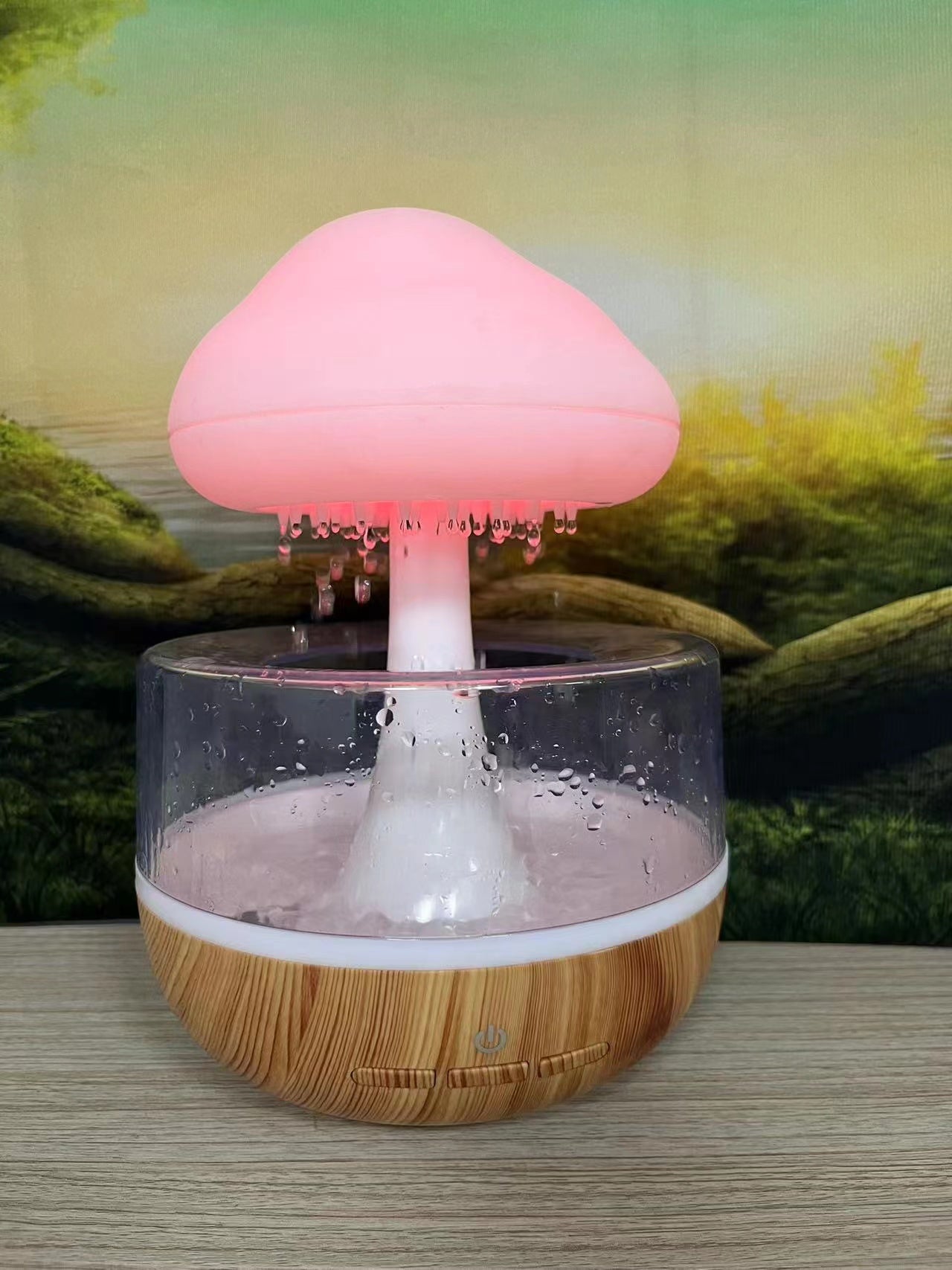 Rain Cloud Humidifier