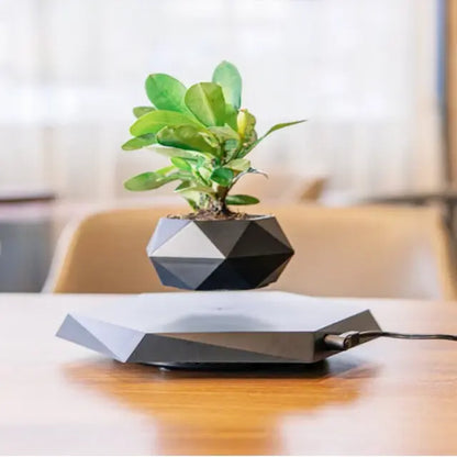 Levitating Air Bonsai Pot