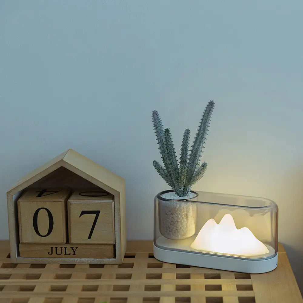 Mini Potted Plant Container Lamp