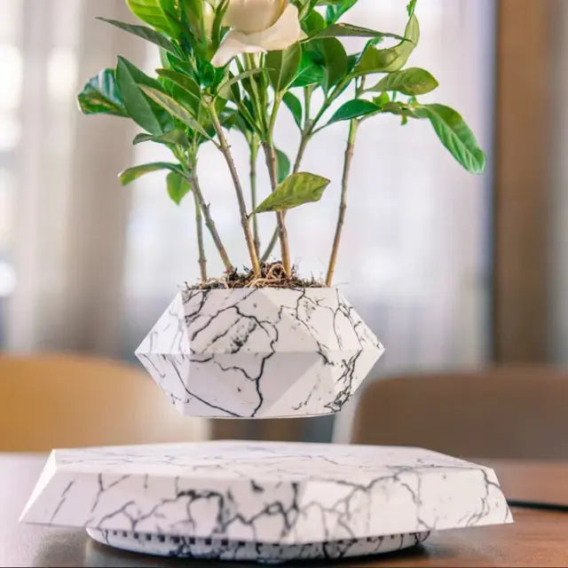 Levitating Air Bonsai Pot