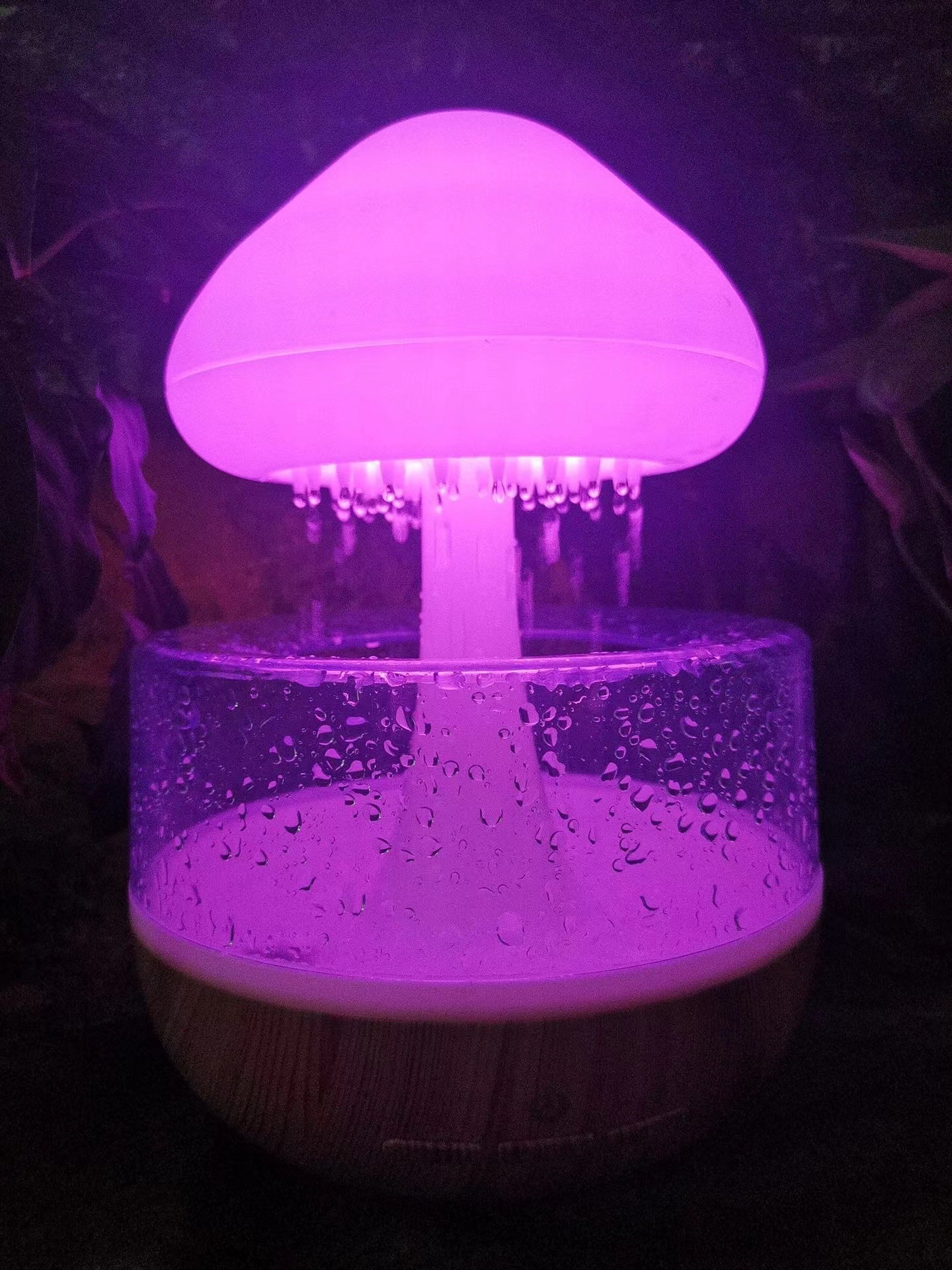 Rain Cloud Humidifier