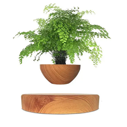 Levitating Air Bonsai Pot